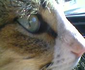 20071207182805-photo-0031.jpg
