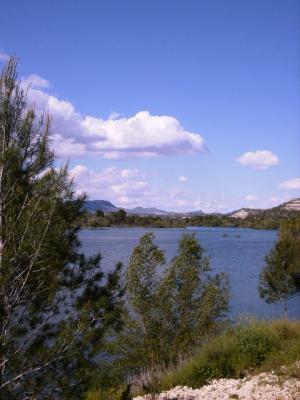 20080205183449-img-0110.jpg