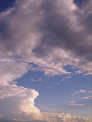 20080908200527-img-0185.jpg