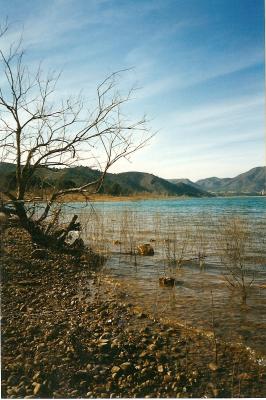 20080922194640-escanear0003.jpg