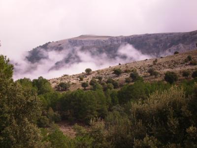 20081025170701-cima-en-niebla.jpg