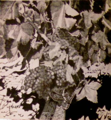 20081105202417-dibujo-vina-tinta.jpg