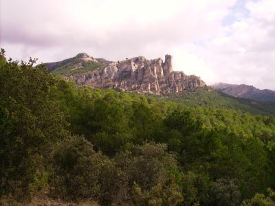 20081110192326-naturaleza.jpg