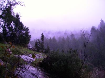 20081215180725-niebla.jpg