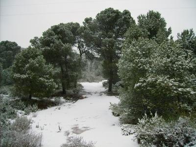 20090109182319-img-0047.jpg