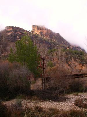 20090310203353-img-0039.jpg