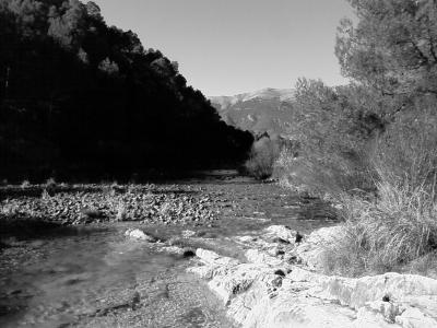 20090608142004-foto0013.jpg
